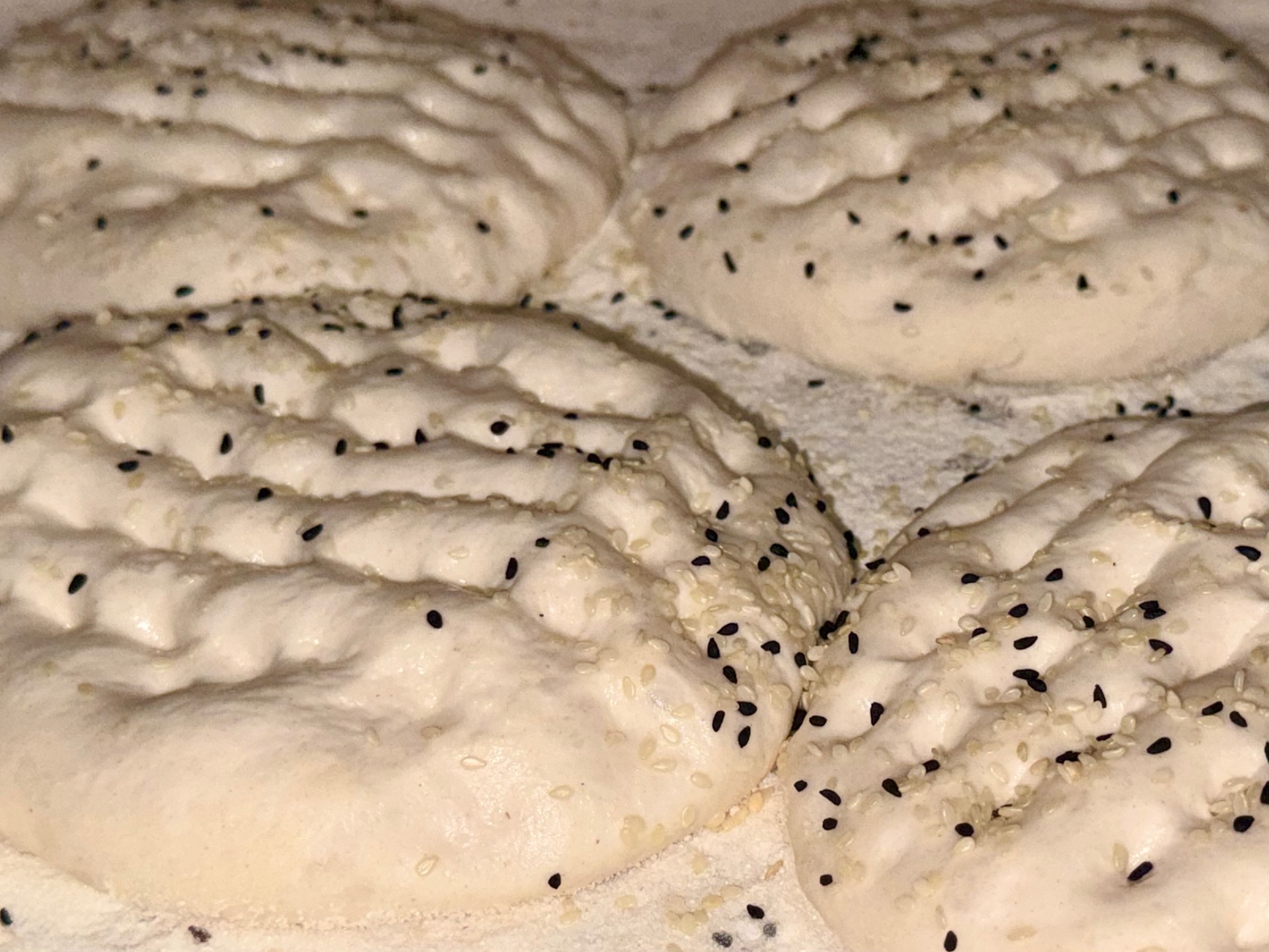 Vers gerezen Turks brooddeeg met sesam
